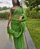 Green chiffon leheriya saree with gold border, model standing outdoors